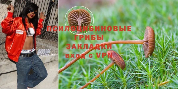 apvp Киреевск