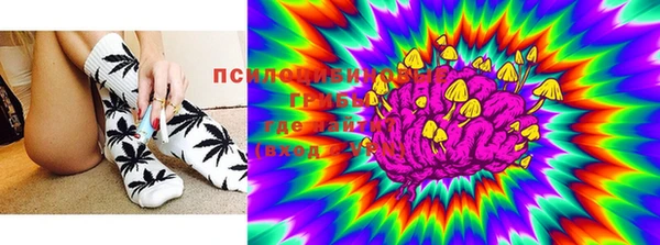 apvp Киреевск