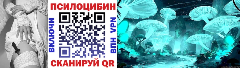 Галлюциногенные грибы прущие грибы  Купить где  Тихорецк 