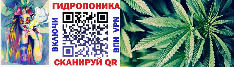 Бошки Шишки Bruce Banner  Купить закладки  Тихорецк 
